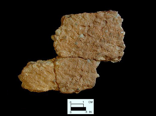 Accokeek cord-marked sherds from Bathhouse site 18AN37.